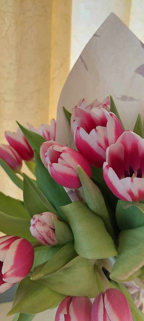 Bukiet tulipanów.jpg